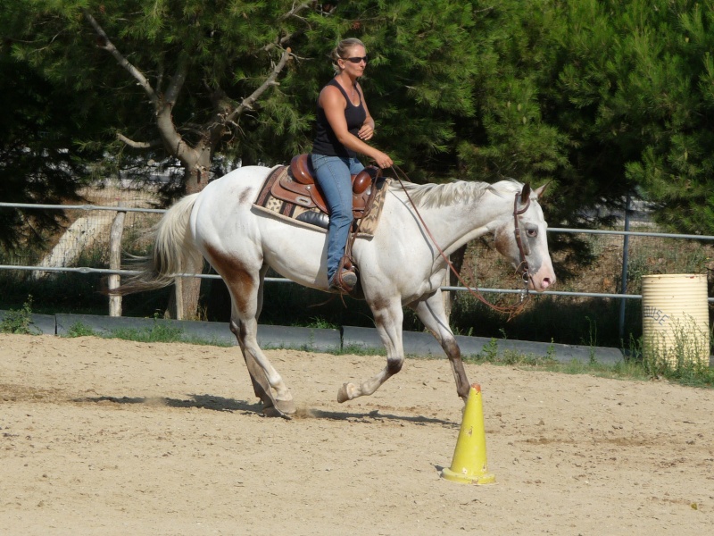 Centre equestre western "LA PALOUSE" st Cyprien Fin_2020