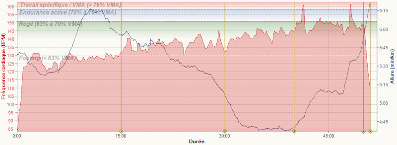 bladerunner ---) marathon de Nantes 3h06'36" : objectif atteint - Page 3 2013-039