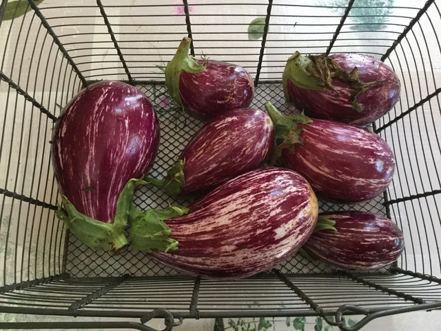 l'Aubergine - Page 4 029b8510