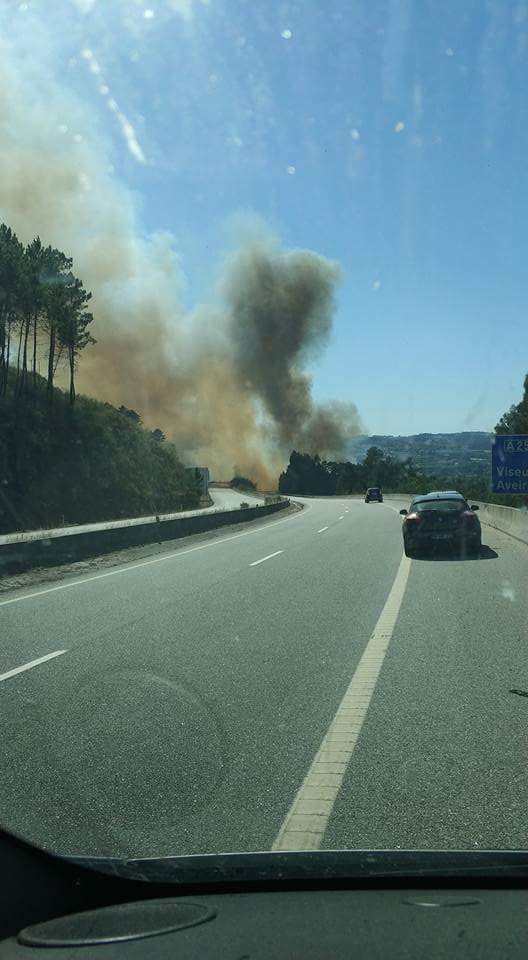 viseu - A25 cortada entre Viseu e Mangualde devido a fogo 20264710