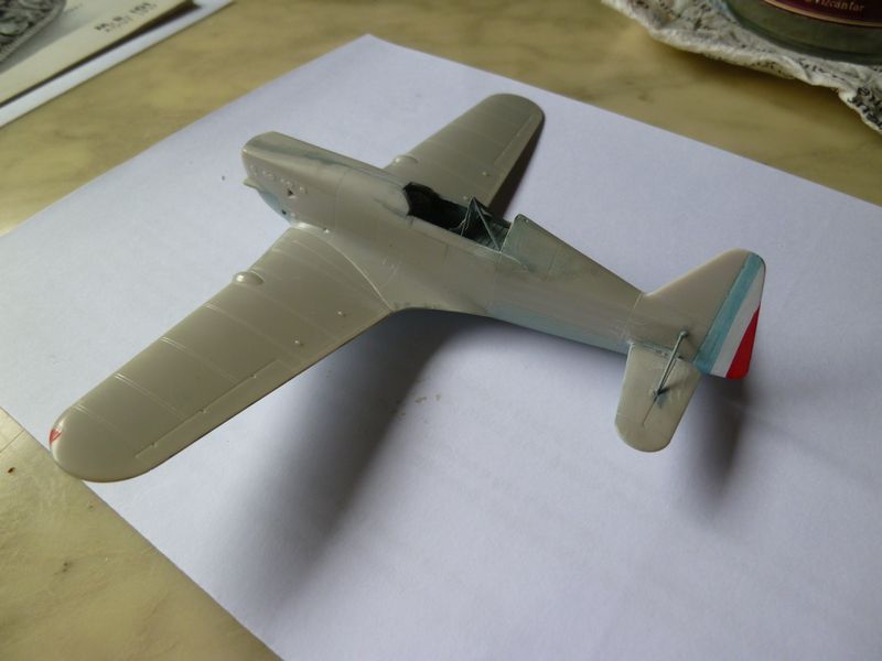 [Hasegawa] Morane Saulnier MS 406 - Page 2 P1070830