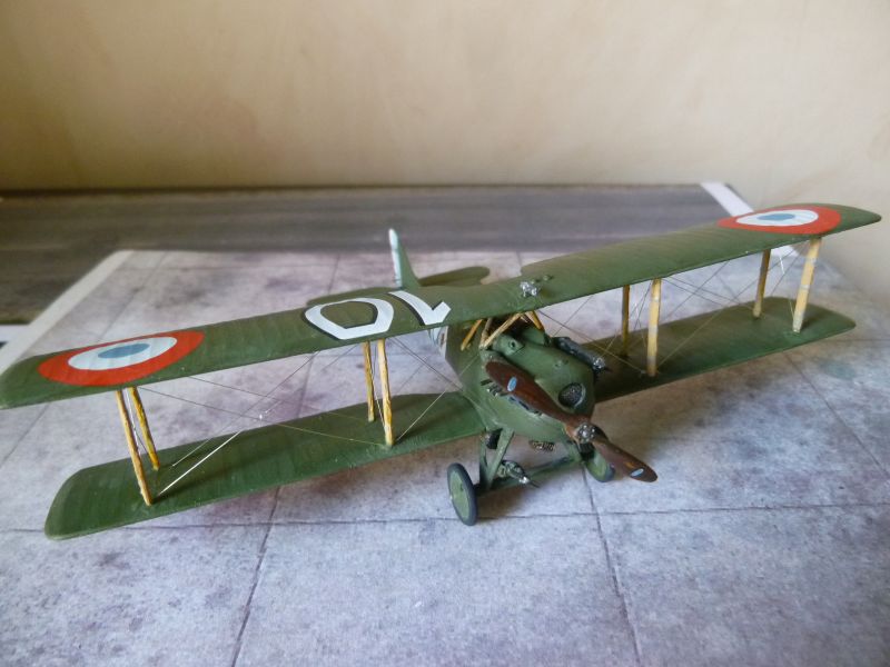 [AZUR] Nieuport Delage NiD29 P1070961