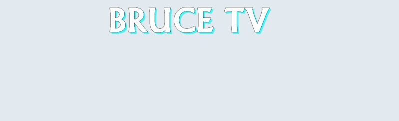 [Blog] Bruce TV , Des reportages de qualité. Sans_t10