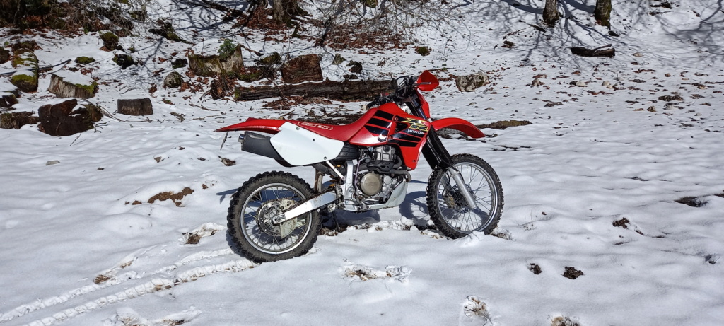 Mon nouveau joujou pour la terre (XR650R) 20220410