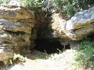 The Den Site Hermit11
