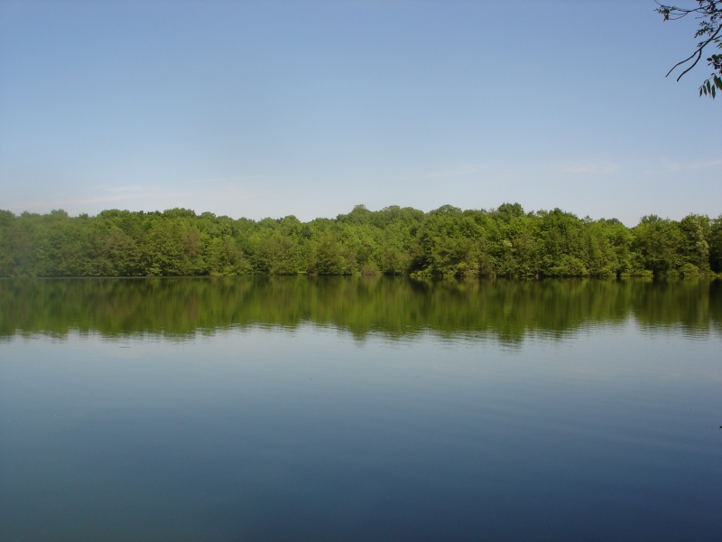 Lac Mary Lou - Saône et Loire - Bourgogne Dsc02011