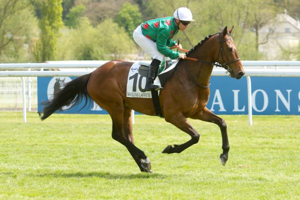 Saint-Cloud - Prix Teddy - Jeudi 31/08/17 Cd0c7110