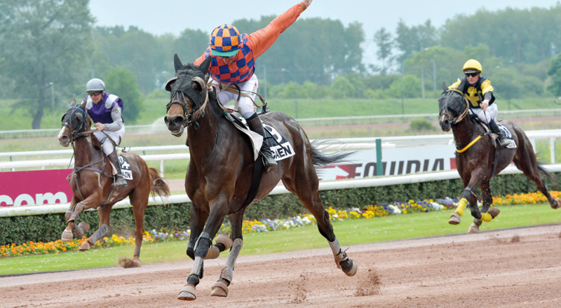 Vincennes - Concours - Dimanche 25/06/17 Eiffes10