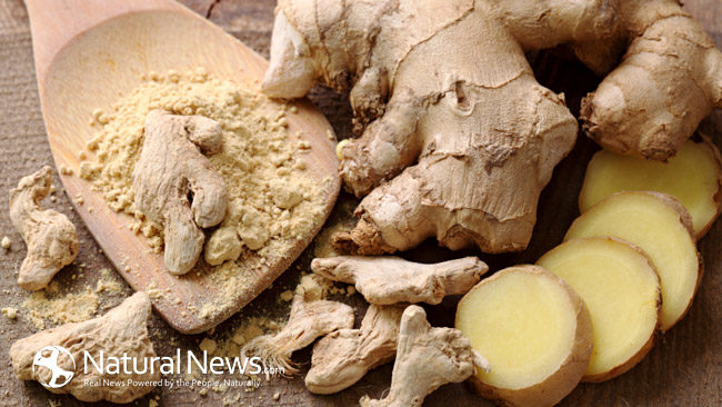 POWERFUL HERBS YOU CAN GROW IN YOUR BACKYARD TO TREAT ARTHRITIS Ginger10