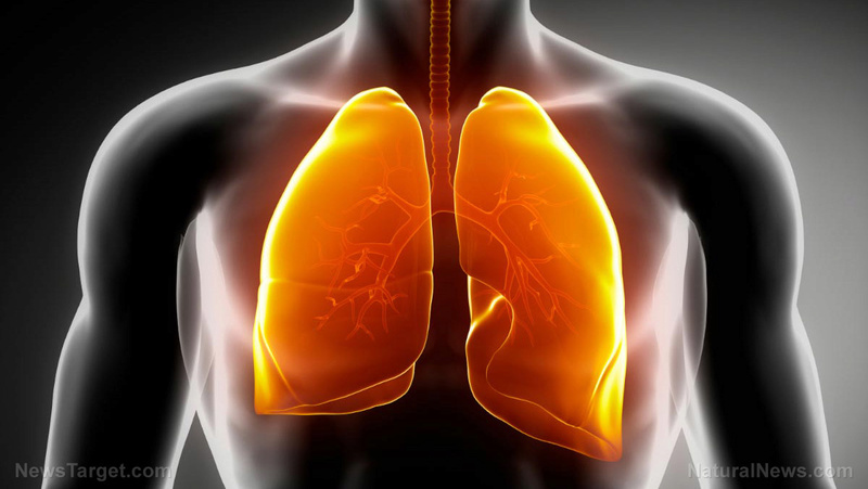 10 WAYS TO DETOXIFY YOUR DIRTY LUNGS Lungs-10