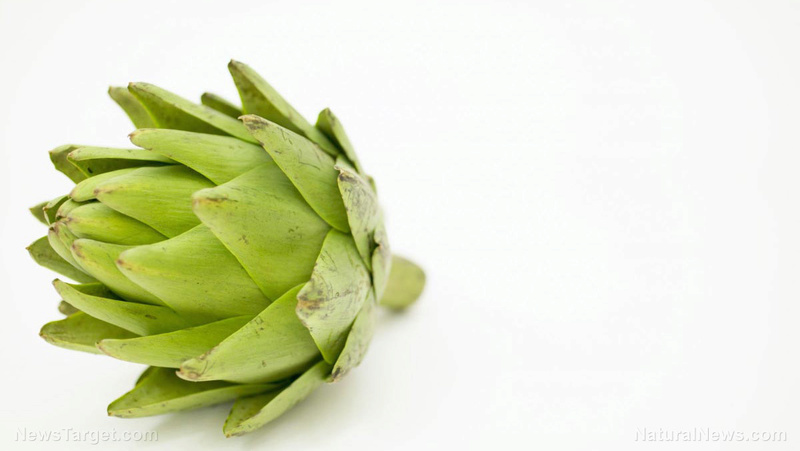 ARTICHOKE EXTRACT FOUND TO LOWER HIGH CHOLESTEROL AND PROTECT THE LIVER FROM ALCOHOL DAMAGE Whole-11