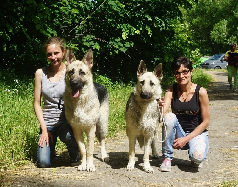 1 июля 2017 года Тула 2*САС СКОР "Кредо" Dsc01411