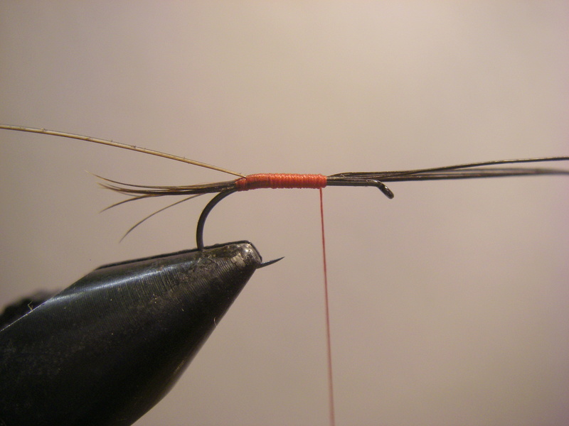 La G.D.R Quill_10