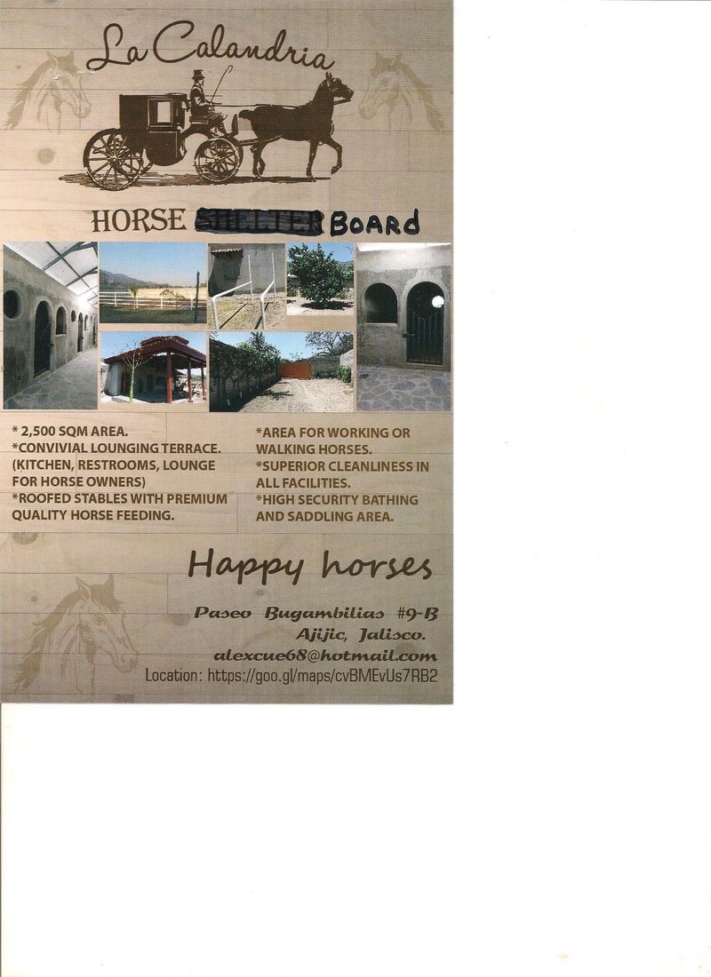 New Horse Boarding Facility Grand Opening Alejan10