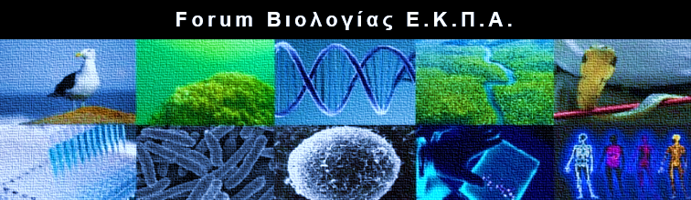 Biologiko forum Bio31210