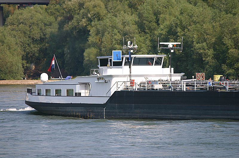 Kleiner Rheinbummel am 28.08.17 in Koblenz Img_5929