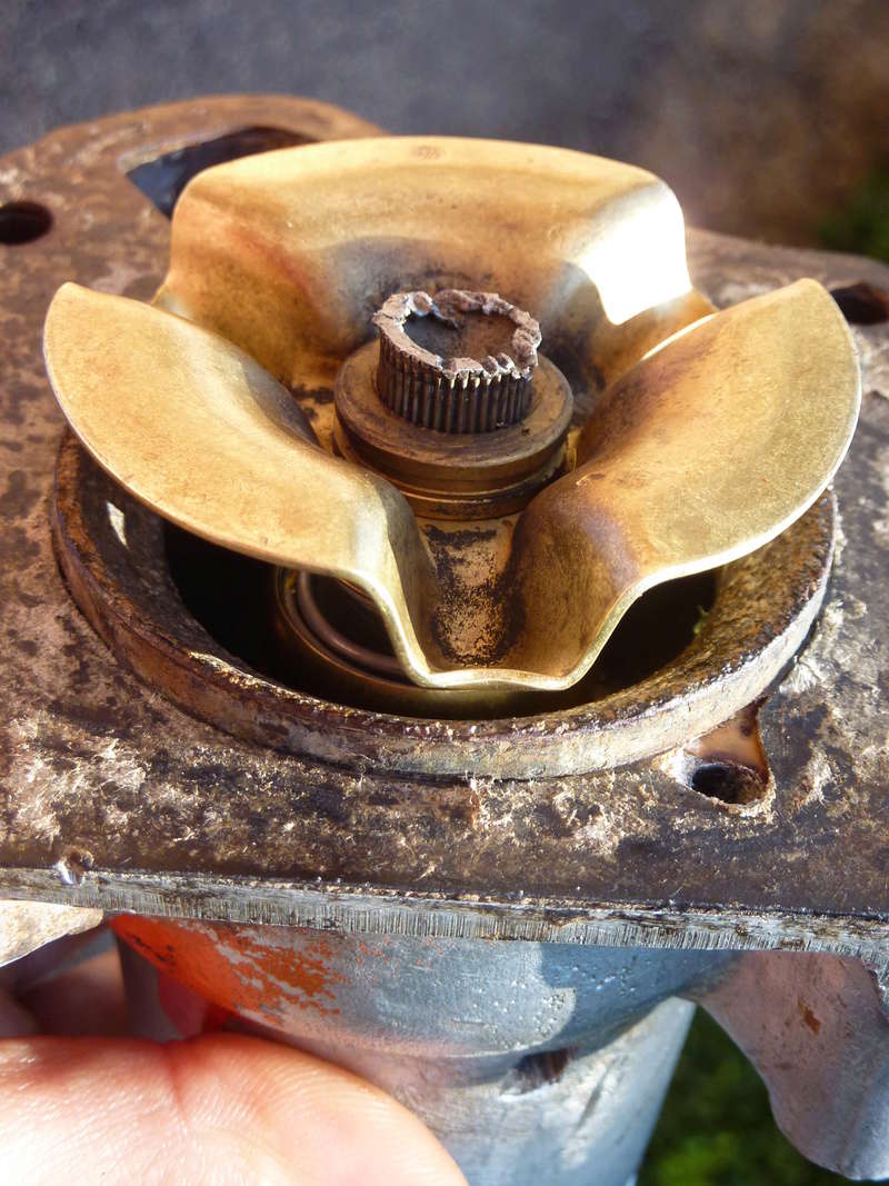 Pompe à eau sur Renault 88 P1070844