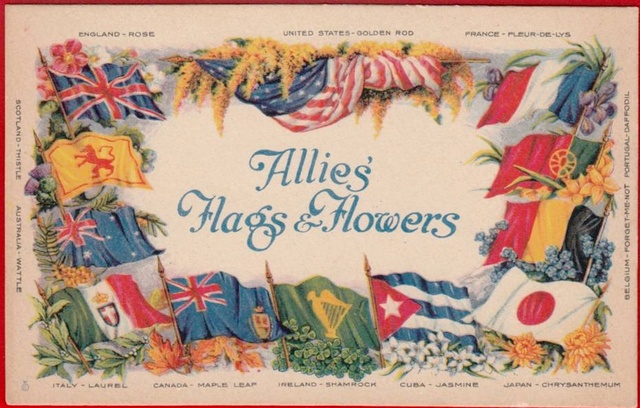 Carte postale peinte avec 11 drapeaux alliés. Americ10