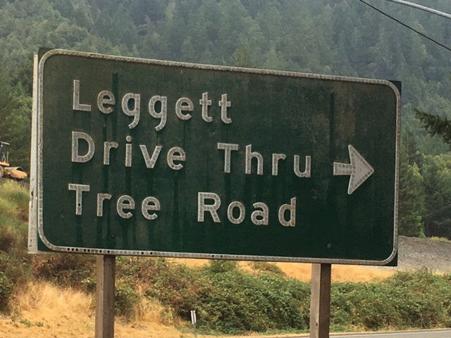 Virtual Road Trip of Pacific Coast Northern California Day_1_13