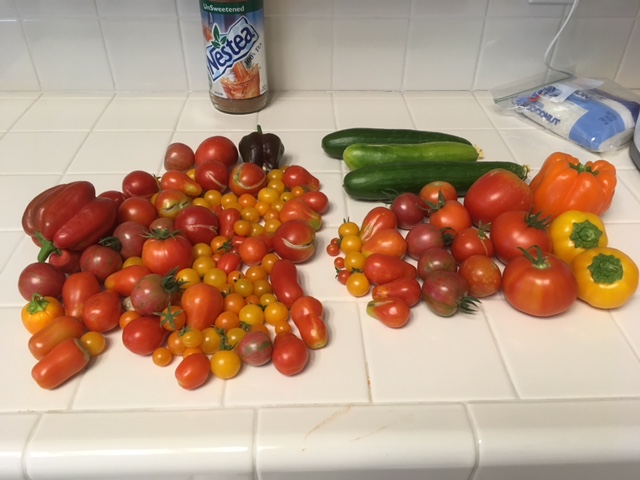 Today's Harvest Harves11