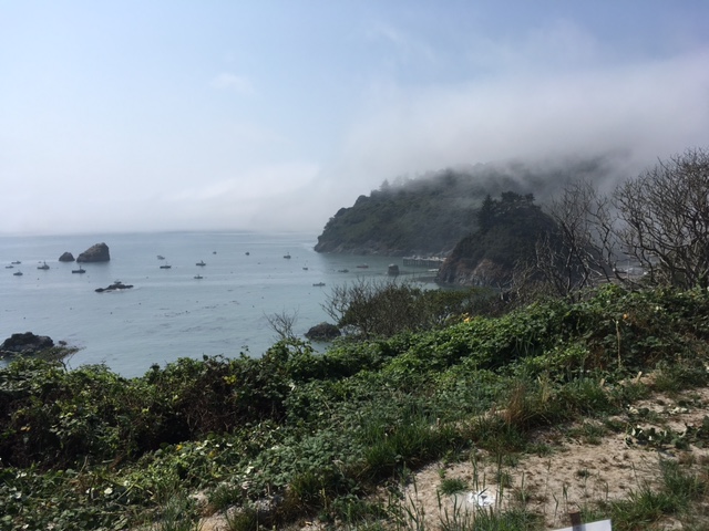Virtual Road Trip of Pacific Coast Northern California Klamat10