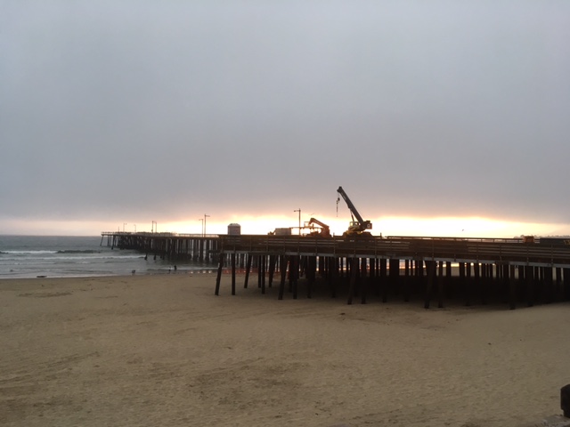 Northern California & Coastal Valleys - What are you doing this month? - Page 4 Pismo_11