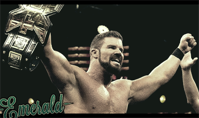 All about Honor (PPV#02) - 11/09/2017 Roode_10