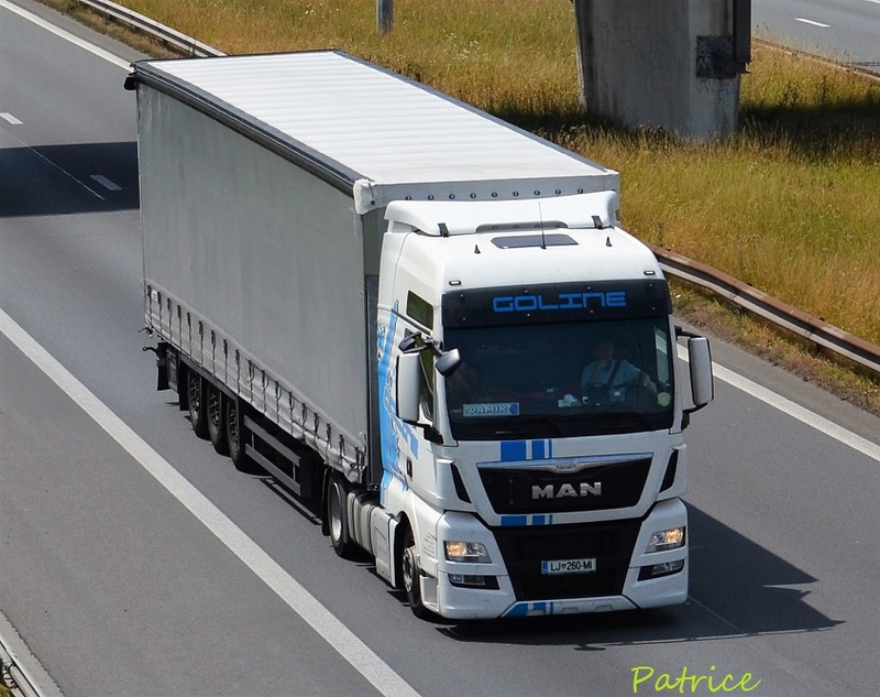 Goline (Trzin) 13711