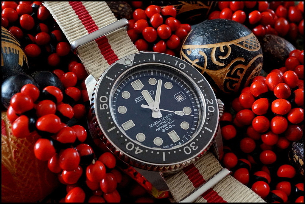 Seiko - Votre montre du jour Rtdsc034