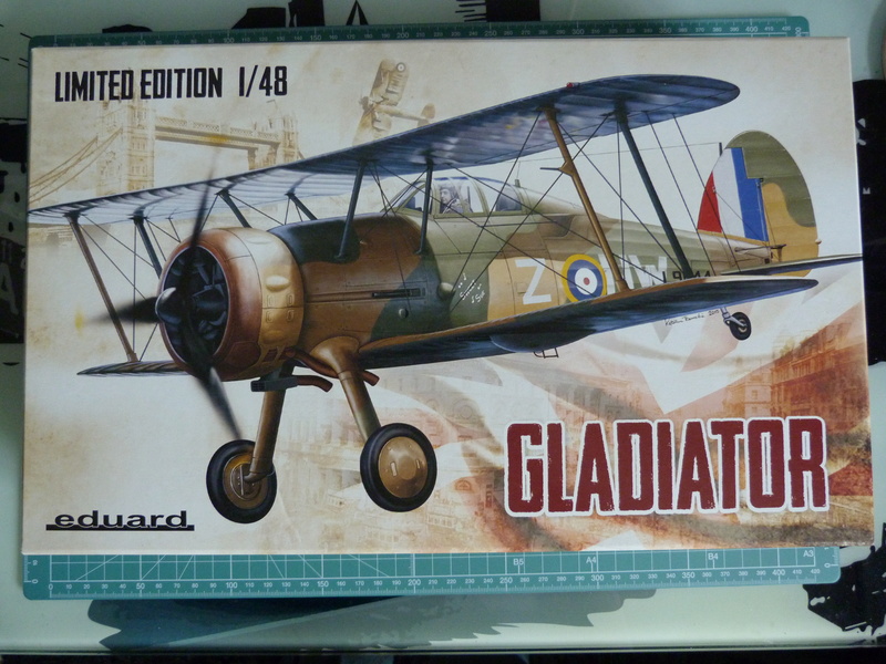 [Concours désert]  Gladiator MK.II  3 Sqd RAAF lybie 1941 P1110135