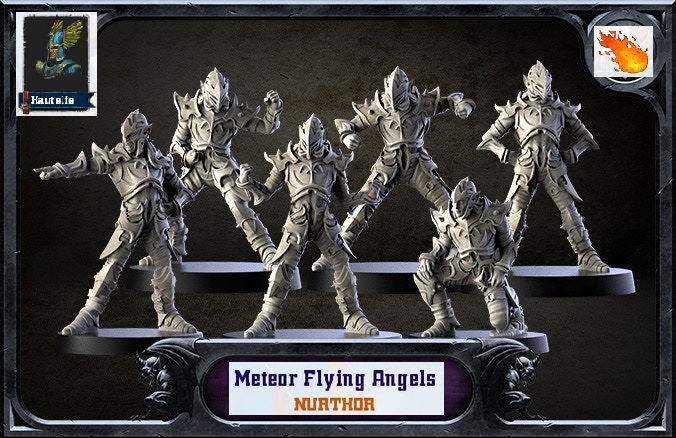 CR et RP: METEOR FLYING ANGELS [Hauts Elfes] - Page 2 Meteor10