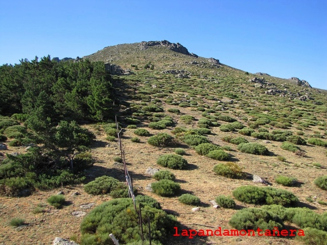 20170729 - LA NAJARRA - BAILANDEROS 00211