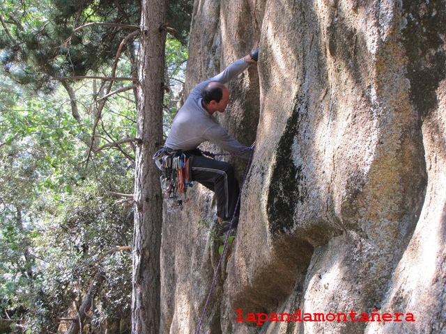 20170924 - LA PEDRIZA - BUITRERAS 00516