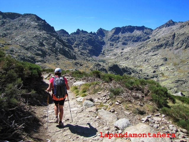 20170902 - CIRCO DE GREDOS 03614