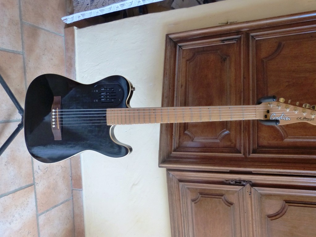 GODIN acousticaster L.R Baggs VENDUE, (retirez l'annonce si vous le désirez) P1100621