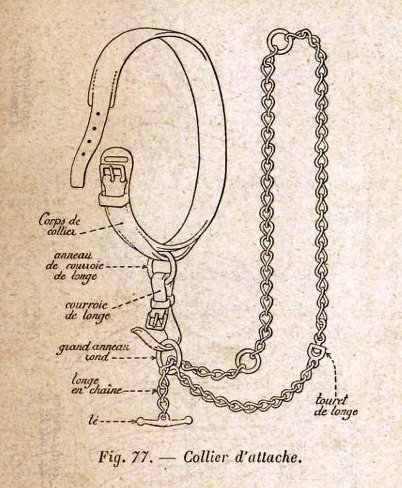 La selle d'artillerie modèle 1861. Sacoches et bissac. Harnachements d'attelage 1903-110