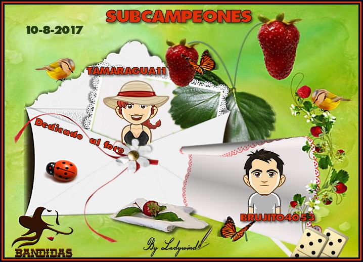 10-8-2017 CAMPEONES QUIQUESAS Y WUILOXD03 - SUBCAMPEONES TAMARAGUA11 Y BRUJITO4053 10-8-s10