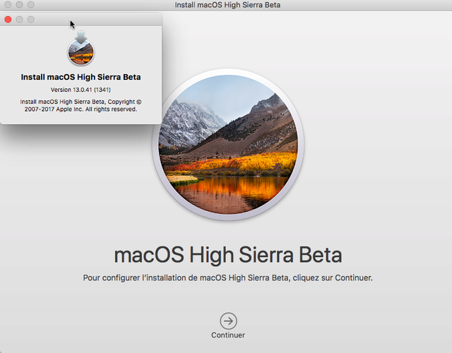MacOS High Sierra 10.13 Beta - Page 8 313