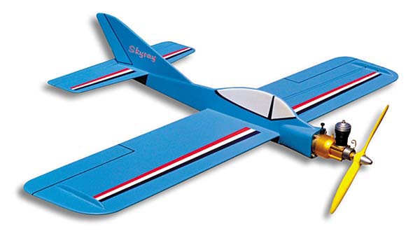 Ordered a 1/2A Skyray kit Yy1sig10