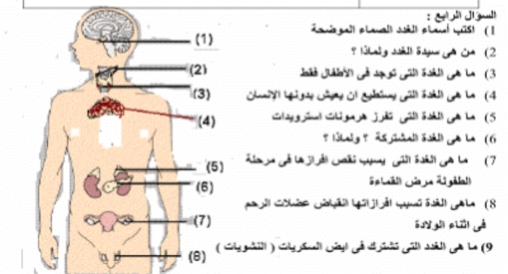 شرح التنسيق الهرموني في الكائنات الحية.. أحياء الصف الثالث الثانوي 2019 195