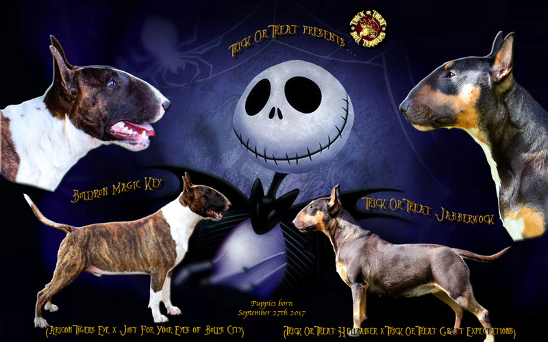 Bullyrun Magic Key x Trick Or Treat Jabberwock Magic_10