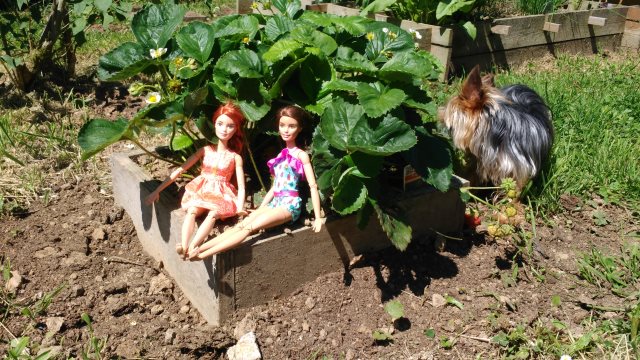 Le voyage d'une barbie: Résultat du tirage au sort - Page 38 Carres11