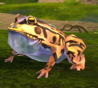 Les skins des pets Jl10