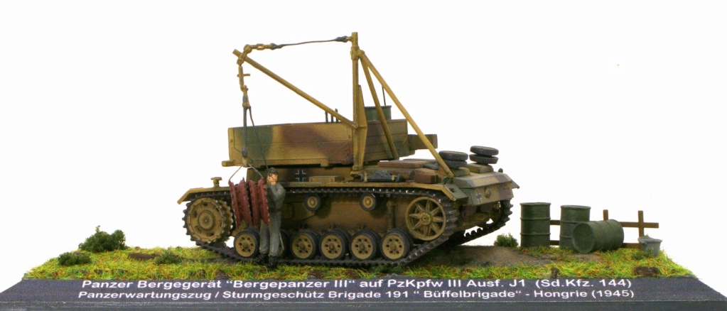 [IBG models] Bergepanzer III  (Sdkfz 144) (134) Sdkfz_68