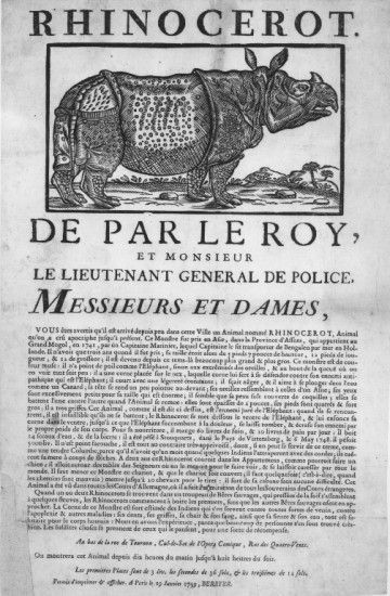 Le tour d'Europe de Mademoiselle Clara, star Rhinocéros du XVIIIe siècle 27f09c10