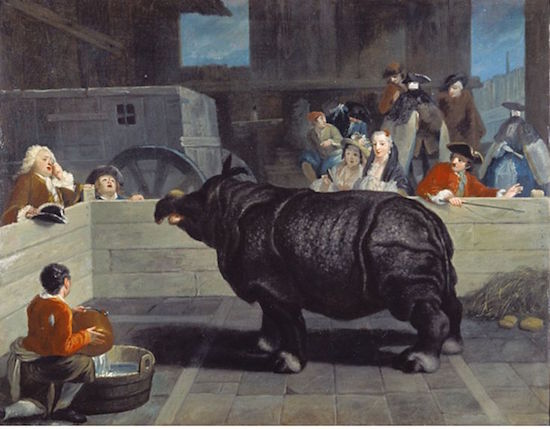 Le tour d'Europe de Mademoiselle Clara, star Rhinocéros du XVIIIe siècle 3106a010
