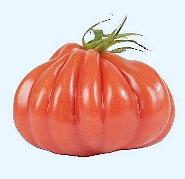 La guerre des graines Tomate11