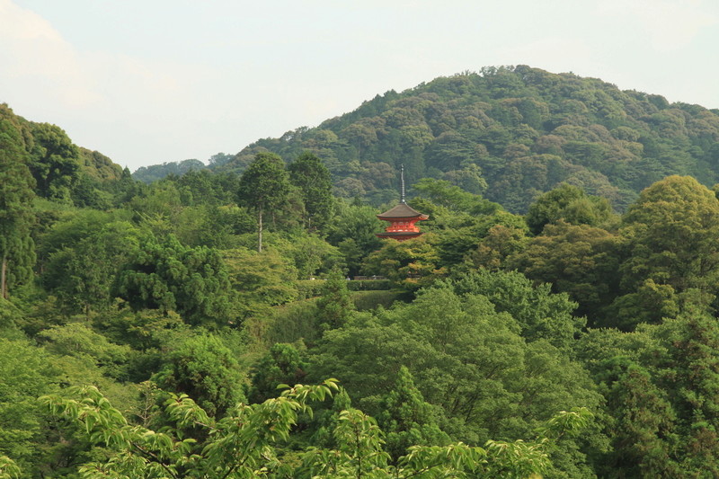 [TR] Happiness in Japan - Juin 2016 - Page 10 Img_7733