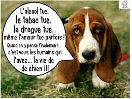 humour - Page 34 4d76ad11