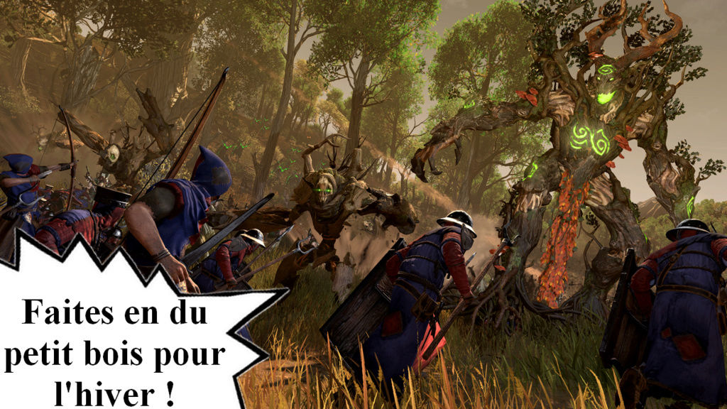 Campagne de Broutounnie - Coop. Total War Kaops & Magnan Wef_tr10